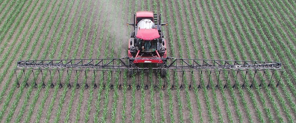 sprayer applying product to a corn field